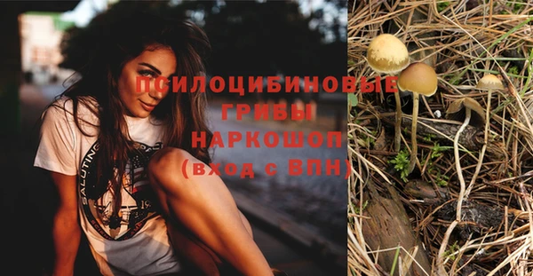ешки Заволжск
