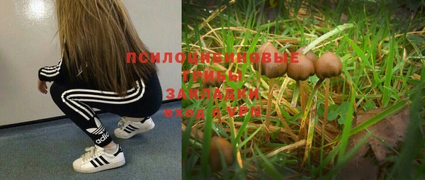spice Заволжье