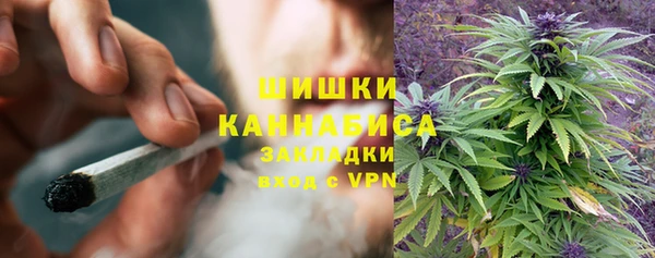мескалин Заводоуковск