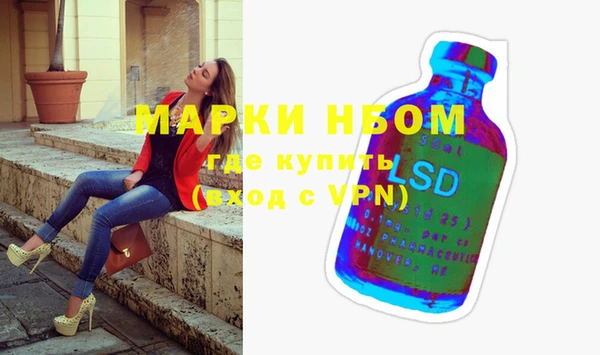 прущие грибы Весьегонск