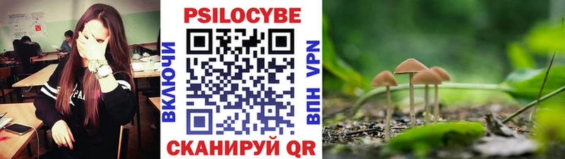Псилоцибиновые грибы GOLDEN TEACHER  маркетплейс состав  Зея  как найти наркотики 